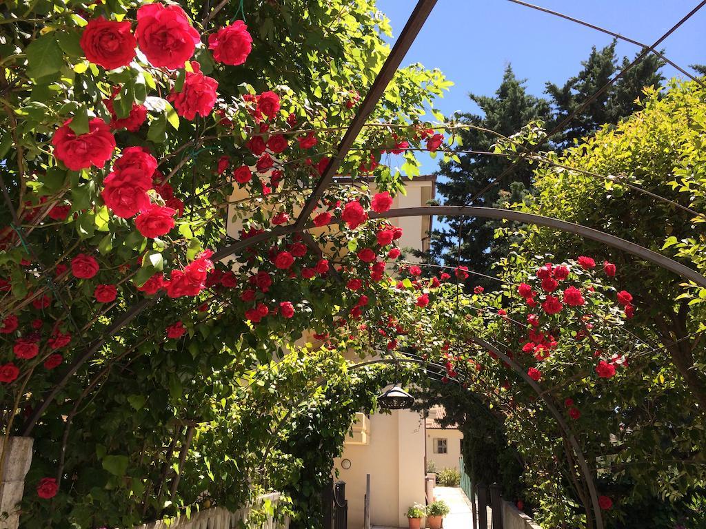 Hotel Parco Delle Rose Сан-Джованни-Ротондо Экстерьер фото